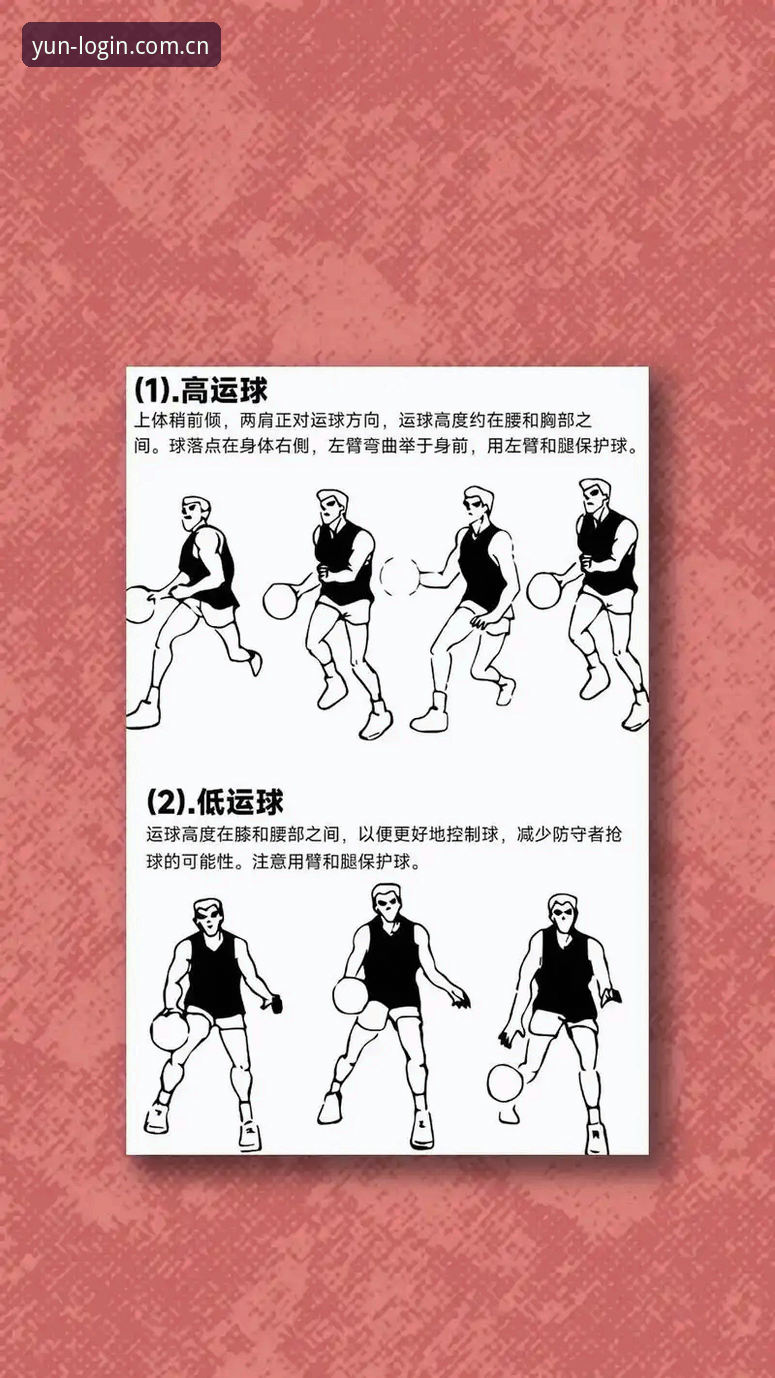 云体育互动平台实战指南：从入门到精通的核心技巧